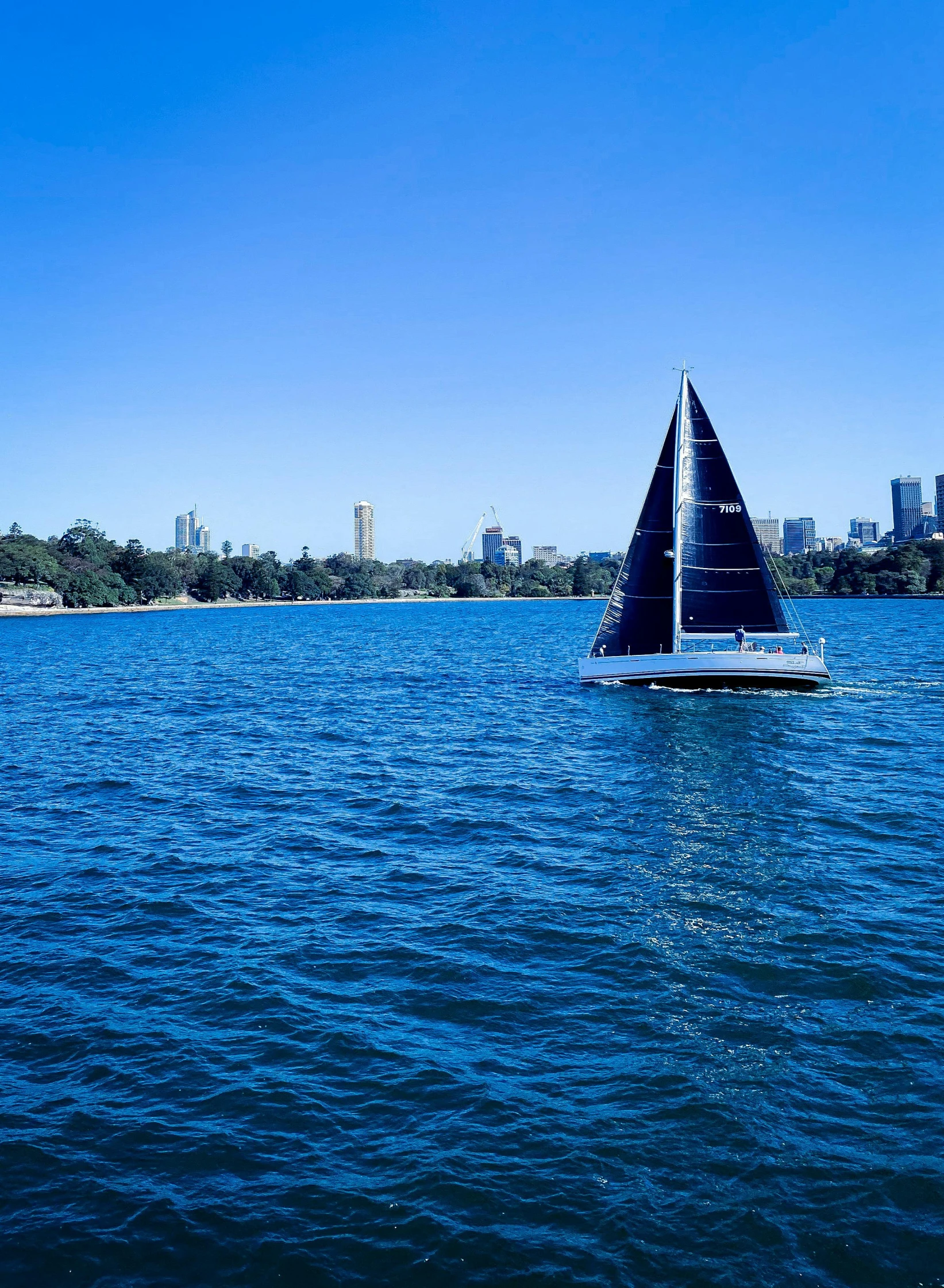 a sailboat on the water with a city in the background, syd, ultrawide image, 2022 photograph, vivid)