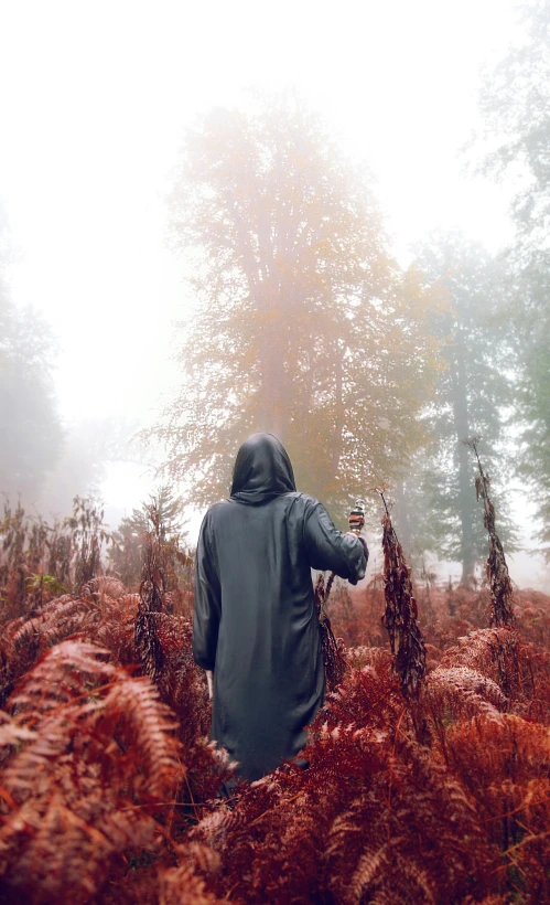a person standing in the middle of a forest, wearing cultist red robe, the autumn plague gardener, photographic render, shot from the back
