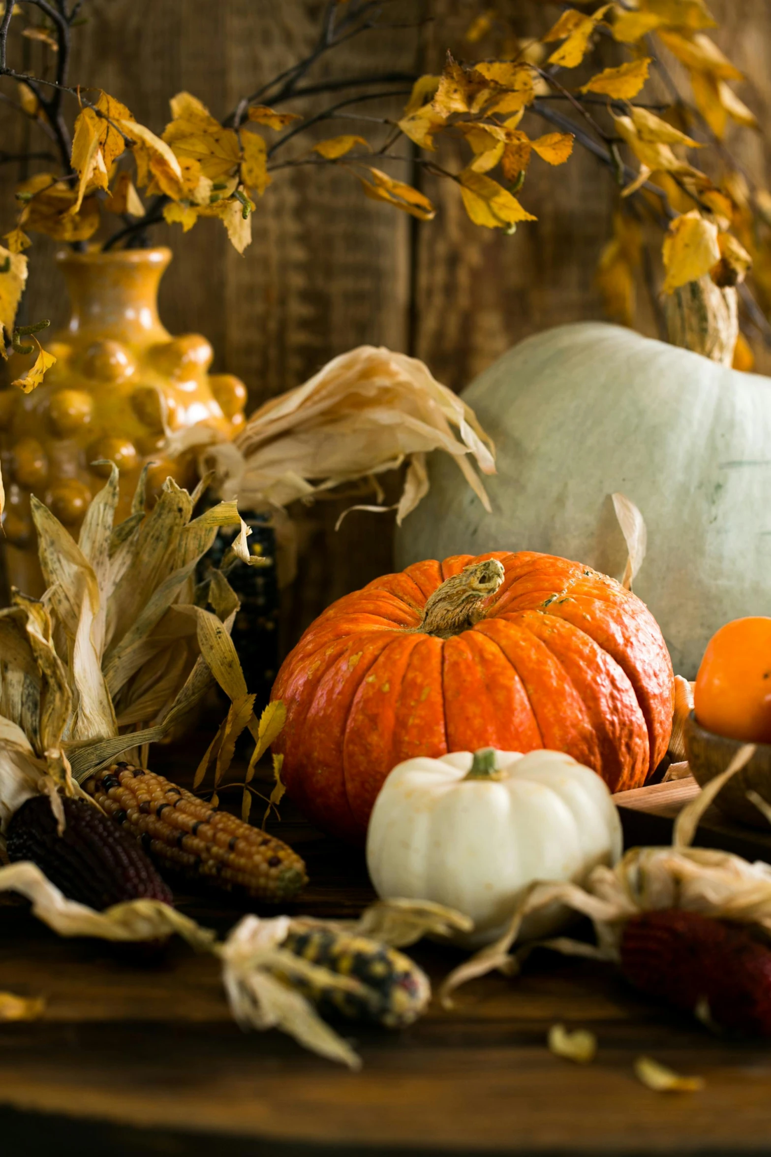 a table topped with lots of different types of pumpkins, a still life, shutterstock, square, slide show, half image