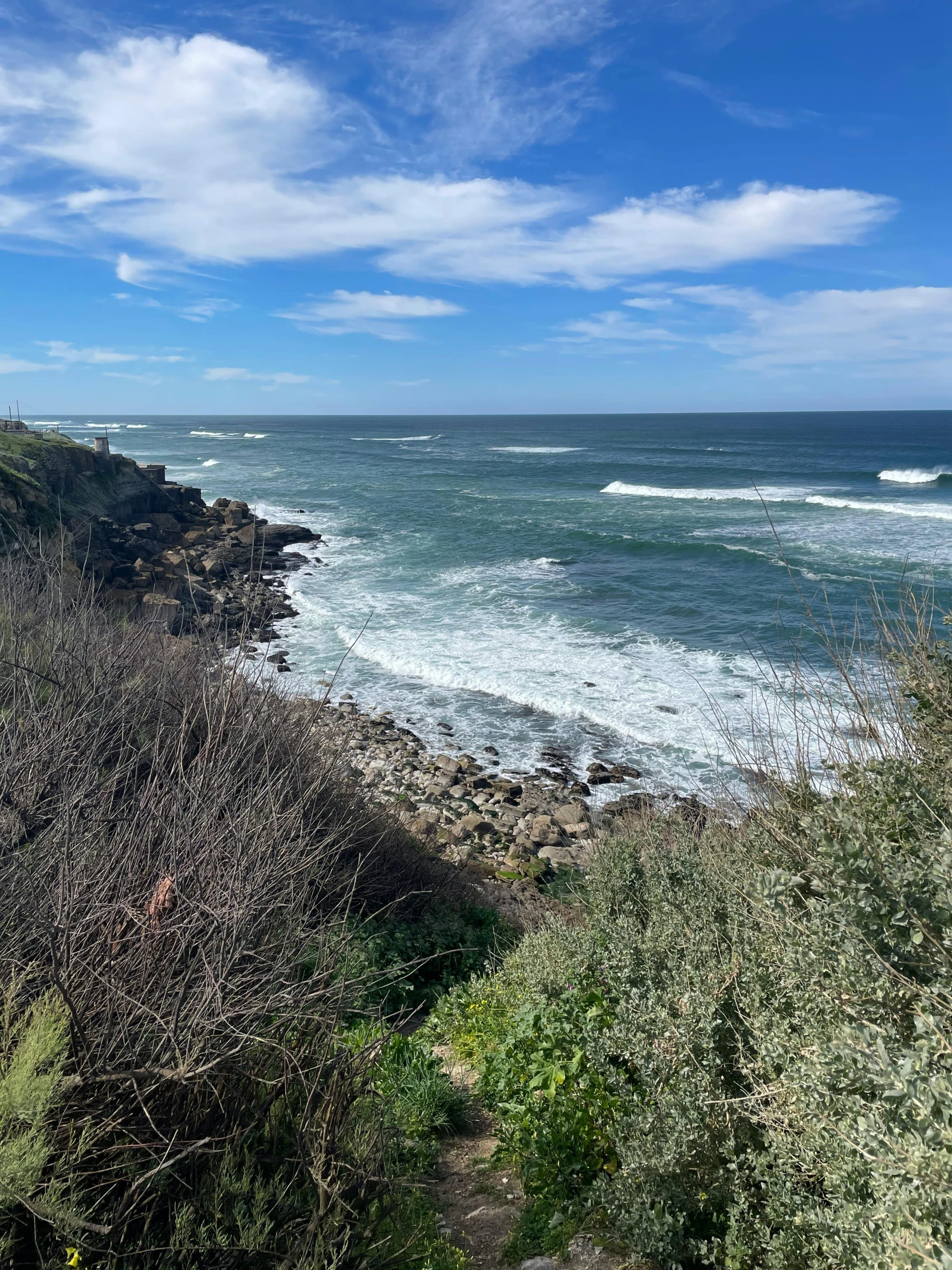 a view of the ocean from the top of a hill, happening, epic coves crashing waves plants, profile image, # nofilter, sunny day time