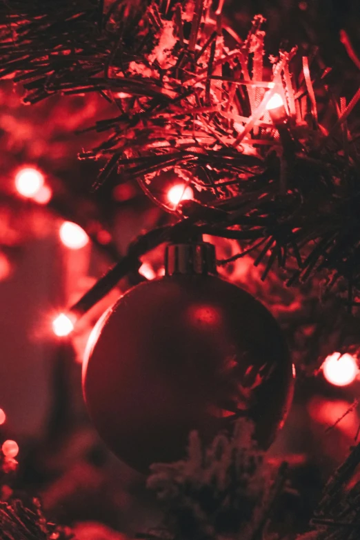a close up of a christmas tree with red lights, a digital rendering, pexels, baroque, black and red scheme, cosy, profile image, detailed glowing red implants