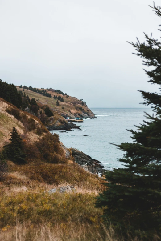 a view of the ocean from the top of a hill, by Jessie Algie, unsplash, 2 5 6 x 2 5 6 pixels, spruce trees on the sides, fall season, coastal cliffs