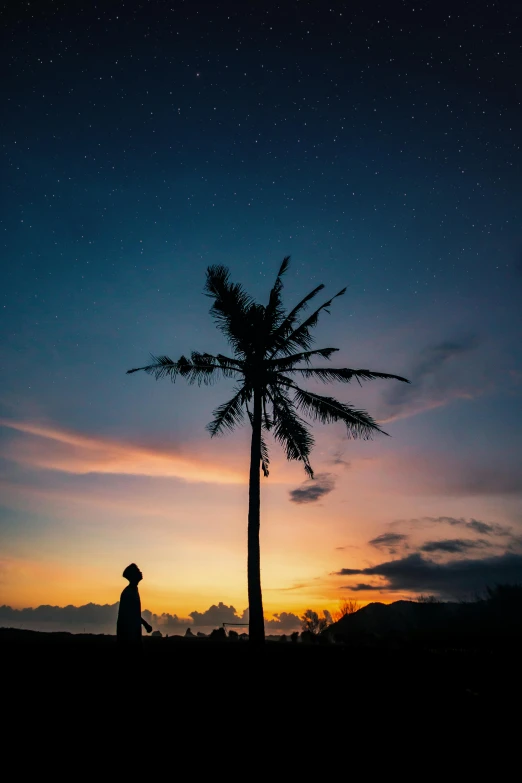 a silhouette of a person standing next to a palm tree, by Sebastian Spreng, unsplash contest winner, bali, stary sky, ((sunset)), multiple stories