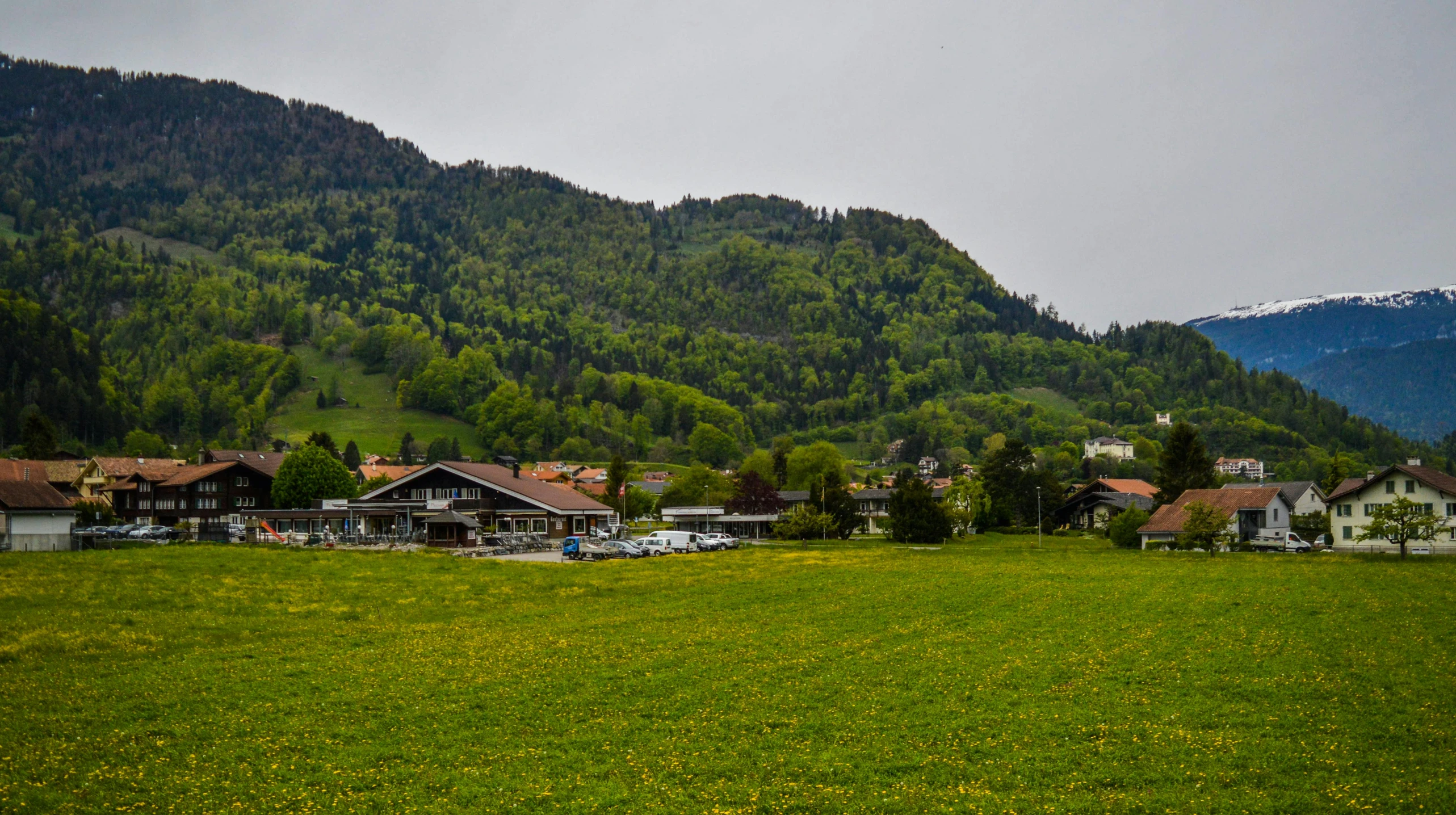 a green field with houses and mountains in the background, by Otto Meyer-Amden, unsplash, les nabis, square, overcast, shops, trees in the background