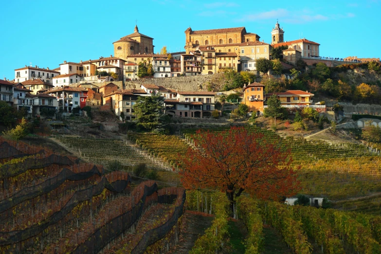 a village on top of a hill with a tree in the foreground, by Carlo Martini, pexels contest winner, renaissance, clad in vines, square, promo image, portrait image