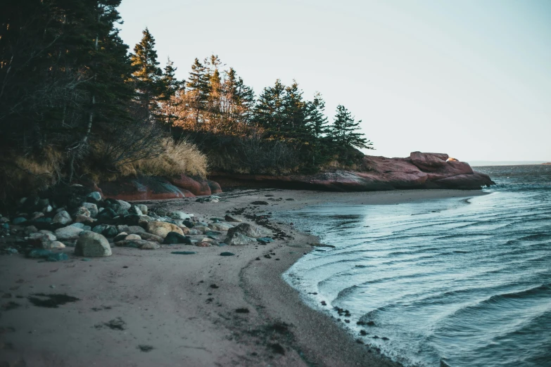 a sandy beach next to a body of water, by Carey Morris, pexels contest winner, sarenrae, shoreline, campsites, pink hues