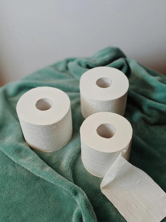 three rolls of toilet paper sitting on top of a green blanket, by Helen Stevenson, smooth porcelain skin, made of lab tissue, jovana rikalo, very buff