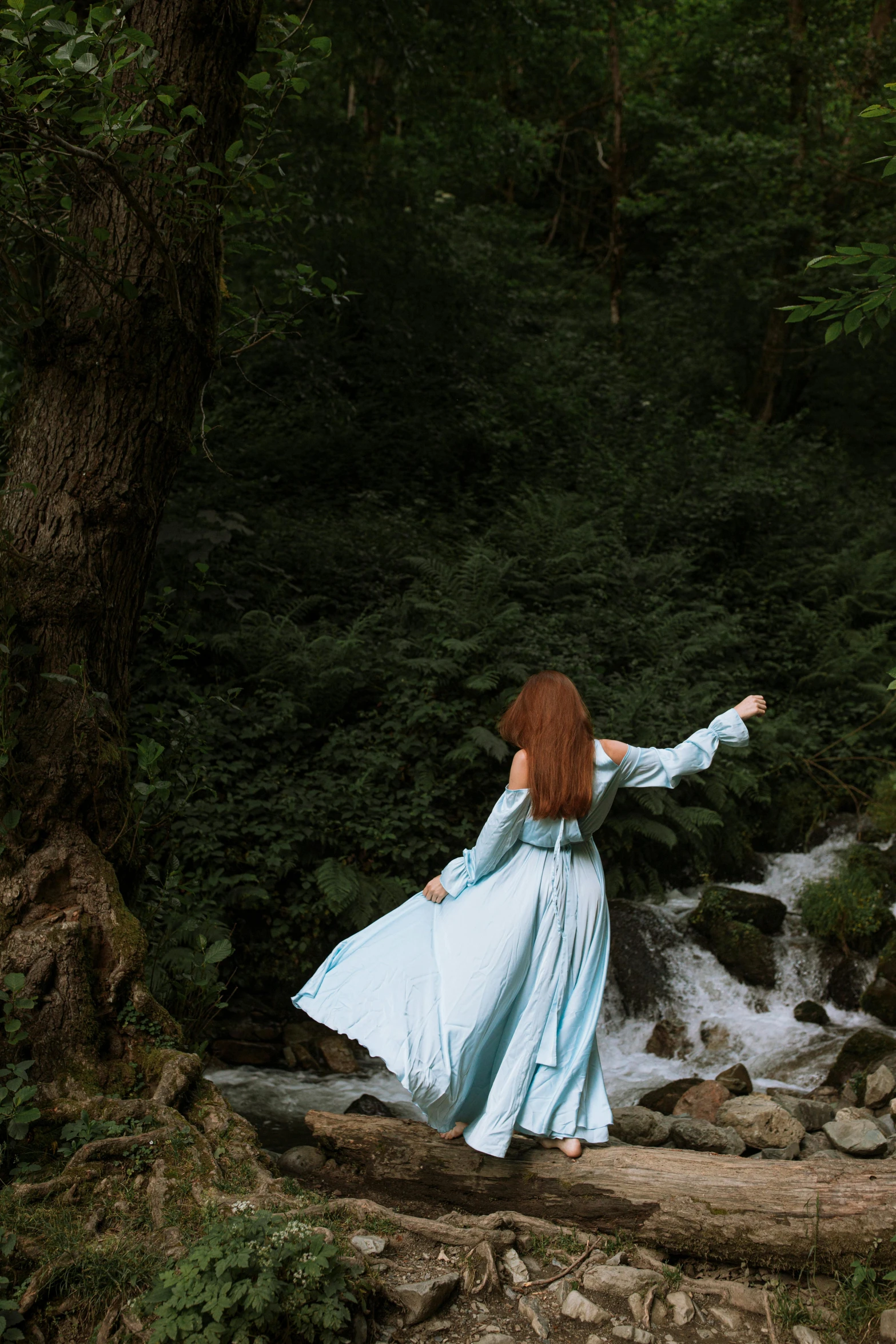 a woman in a blue dress standing on a log in the woods, an album cover, inspired by Arthur Hughes, pexels contest winner, renaissance, she is walking on a river, flowing ginger hair, flowing robes, back view also