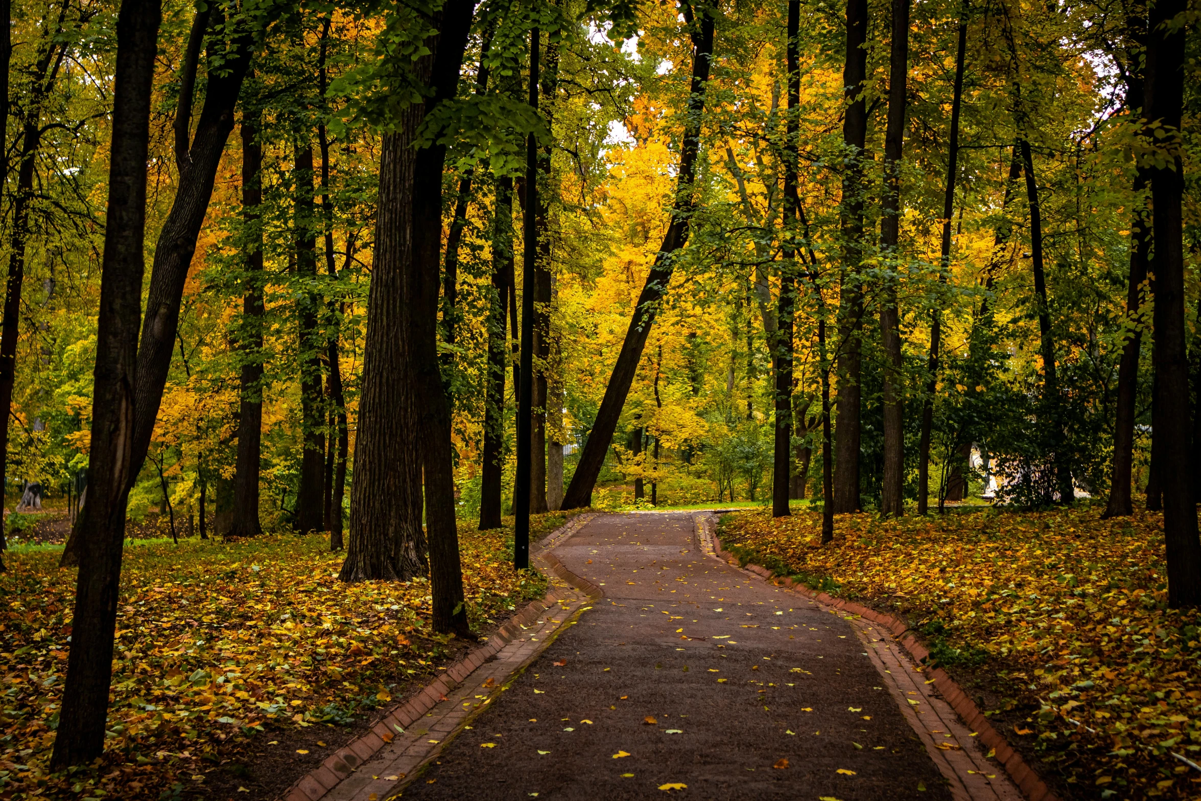 a path in the middle of a park surrounded by trees, by Maksimilijan Vanka, fan favorite, yellows, tourist photo, brown