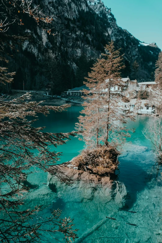 a river running through a forest next to a mountain, a tilt shift photo, unsplash contest winner, bright blue glowing water, lake house, germany, teal palette