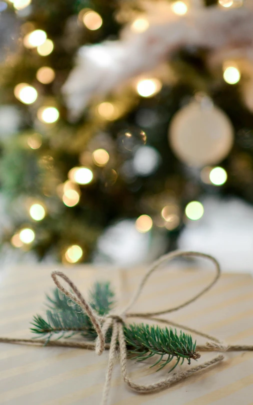 a present wrapped in twine with a christmas tree in the background, profile image, tag, white lights, bokeh photography