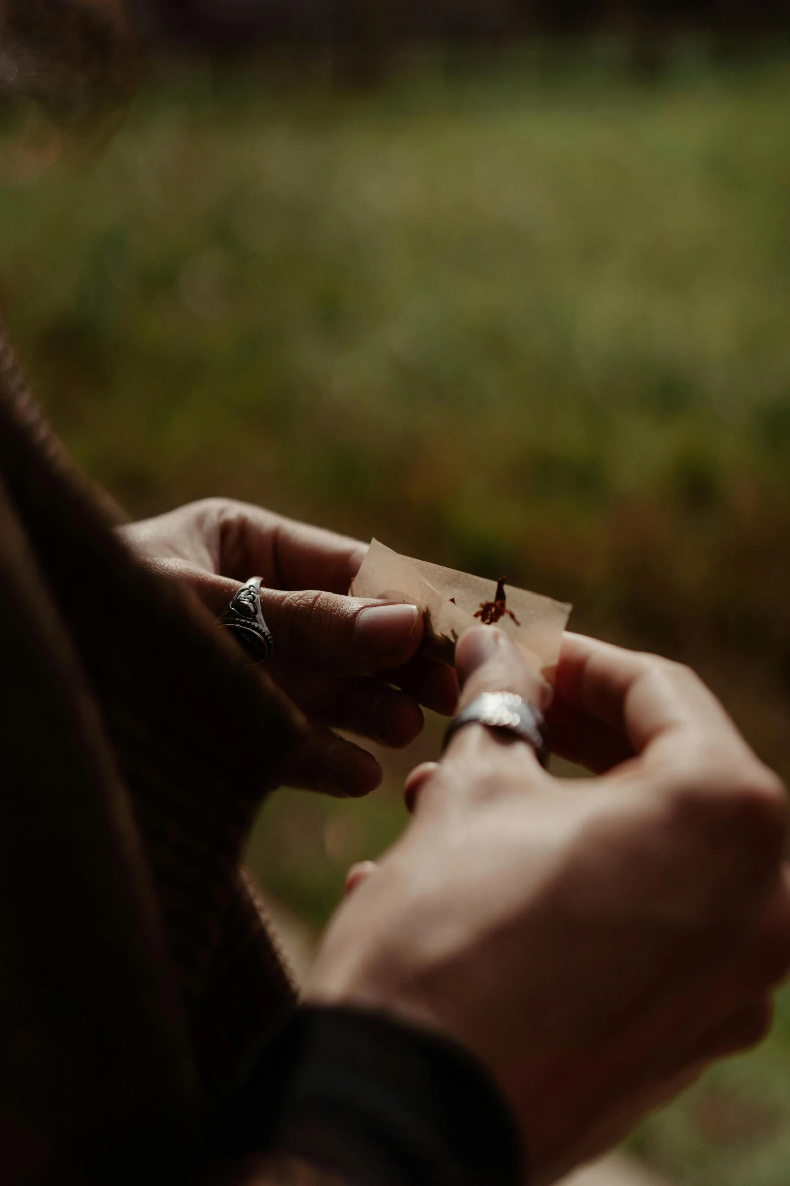 a close up of a person holding a piece of wood, needles, magic hour, field notes, cinematic movie still