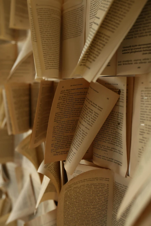 a bunch of books hanging on a wall, happening, parchment, upclose, paper cutout, passages