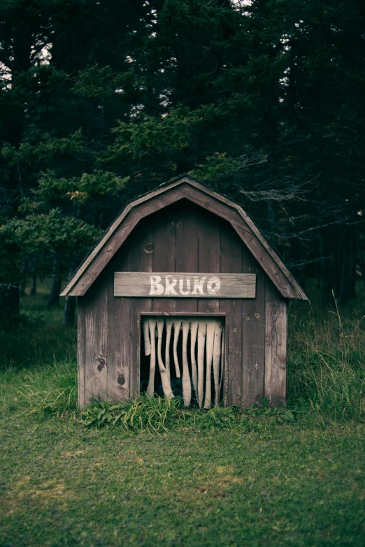 a wooden shed sitting in the middle of a field, an album cover, by Elsa Bleda, unsplash contest winner, dracula fangs! haunted house, bark, in karuizawa, profile image