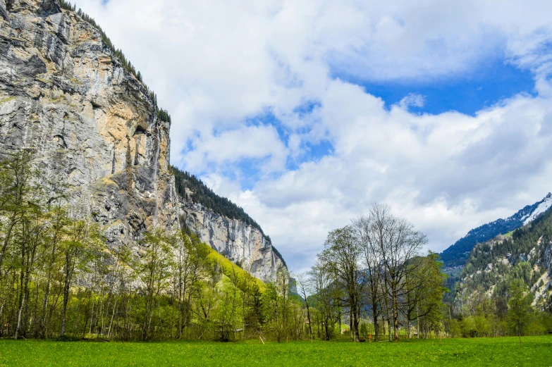 a green field with trees and mountains in the background, by Otto Meyer-Amden, pexels contest winner, rocky cliff, limestone, slide show, panoramic