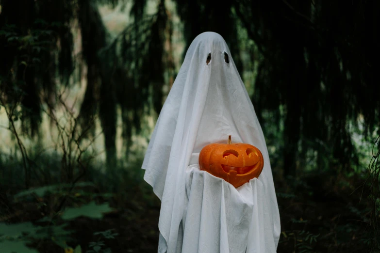 a person in a ghost costume holding a pumpkin, pexels contest winner, ☁🌪🌙👩🏾, spirits covered in drapery, outdoor photo, wearing white clothes