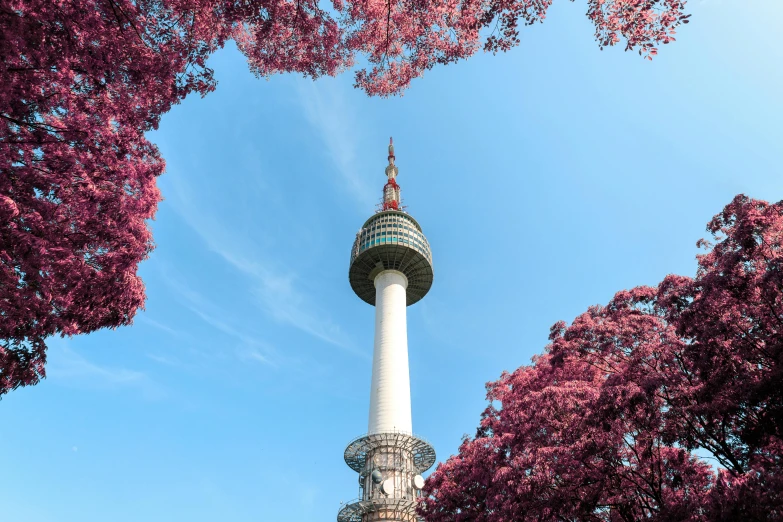 a tall tower surrounded by trees on a sunny day, by Jang Seung-eop, unsplash contest winner, romanticism, blossoming, square, south korean male, pink white turquoise