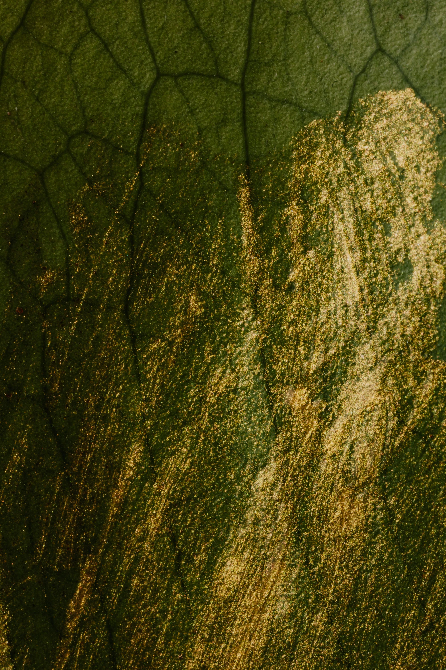 a close up of the skin of an elephant's trunk, an album cover, by Rudolf Schlichter, lyrical abstraction, green gold, color grain 3 5 mm, dark stone, high resolution image