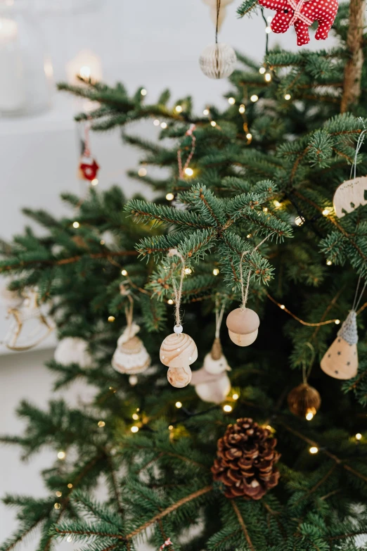 a christmas tree with ornaments hanging from it, oak acorns, detail shot, curated collection, birch