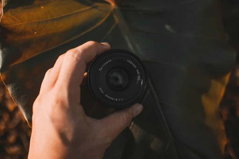 a close up of a person holding a camera, by Mathias Kollros, pexels contest winner, a round minimalist behind, hasselblad quality, micro macro autofocus, photograph captured in a forest