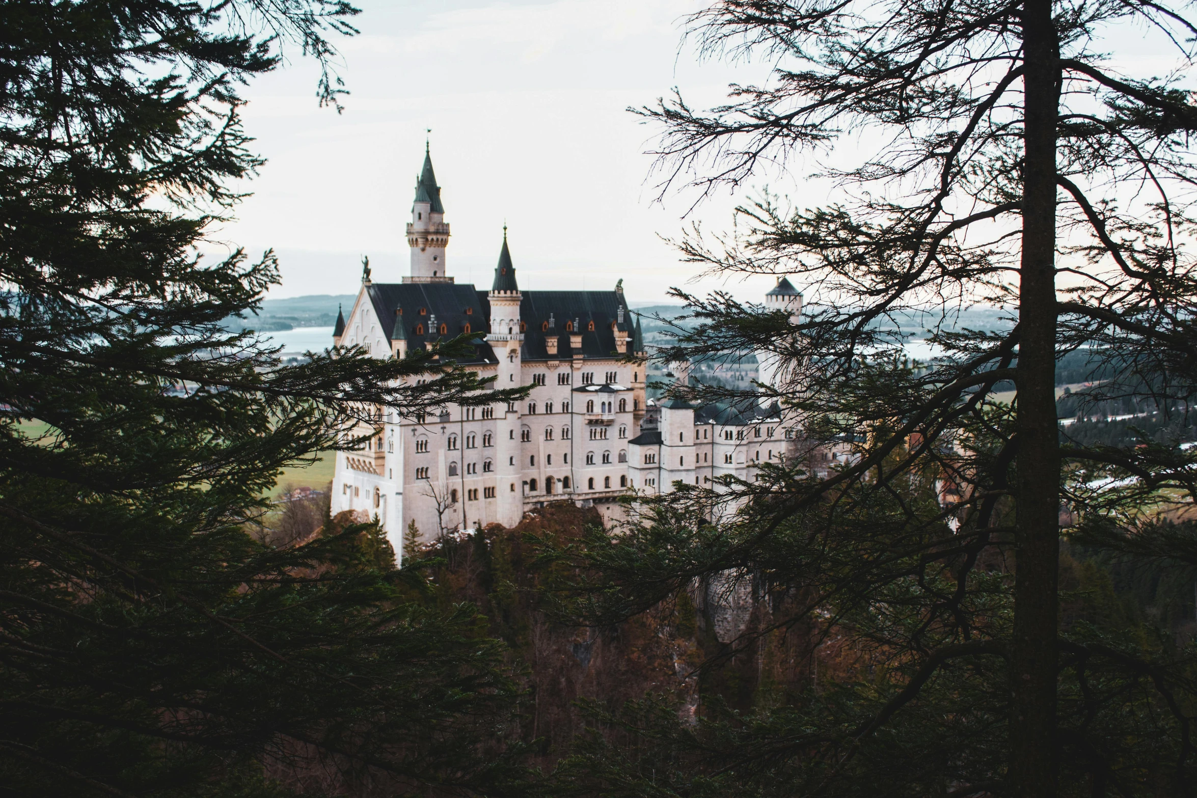 a castle sitting in the middle of a forest, unsplash contest winner, german romanticism, 🎀 🧟 🍓 🧚, white marble buildings, album, 2 0 0 0's photo