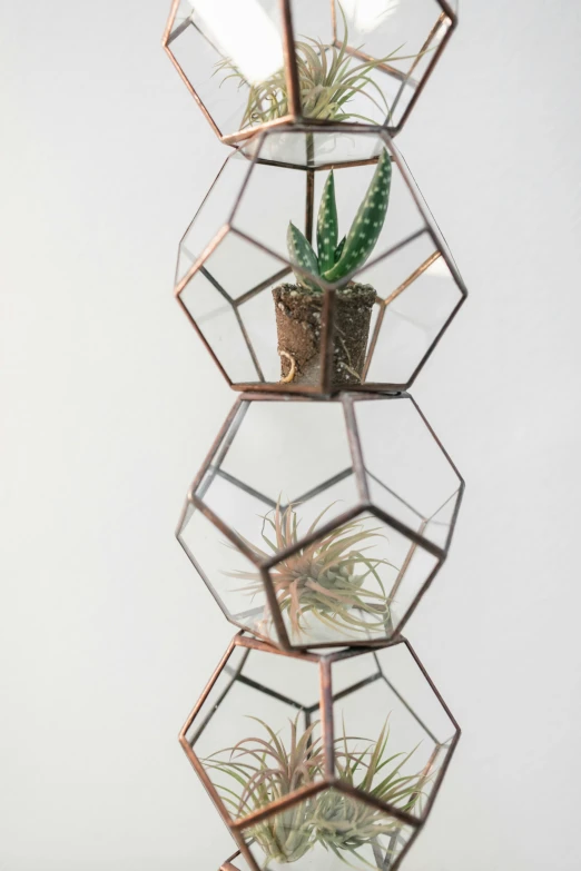 three hexagonal terrariums with plants in them, an abstract sculpture, by Andrée Ruellan, trending on unsplash, rusty metal towers, set against a white background, high angle vertical, dwell