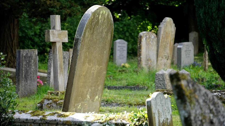 a group of tombstones sitting next to each other in a cemetery, pexels, profile image, fan favorite, a list cast, an old