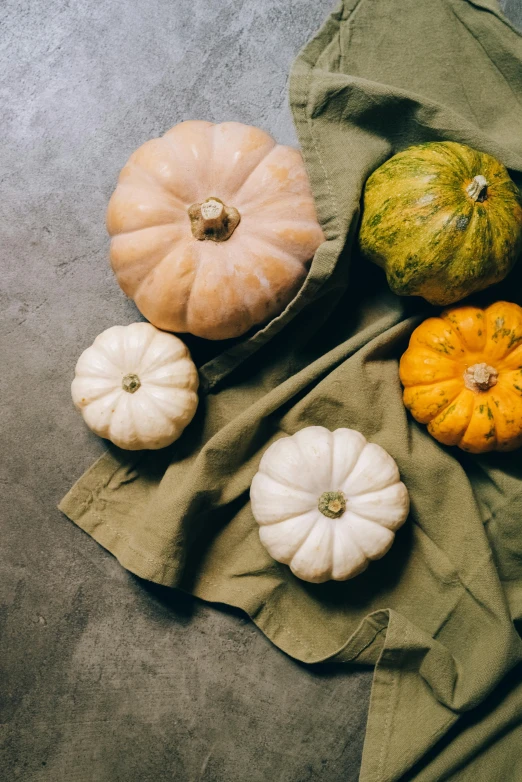 a table topped with lots of different types of pumpkins, a still life, unsplash, square, linen, premium quality, close body shot