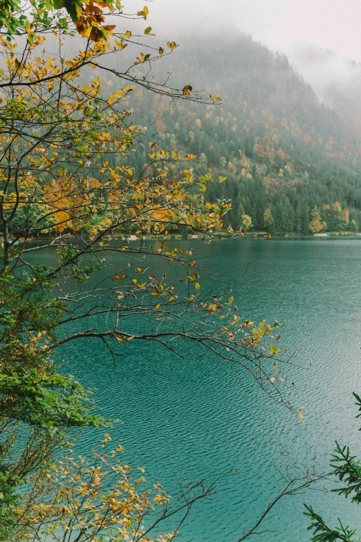 a large body of water surrounded by trees, by Sebastian Spreng, trending on unsplash, 2 5 6 x 2 5 6 pixels, autumn mountains, green sea, slovenian