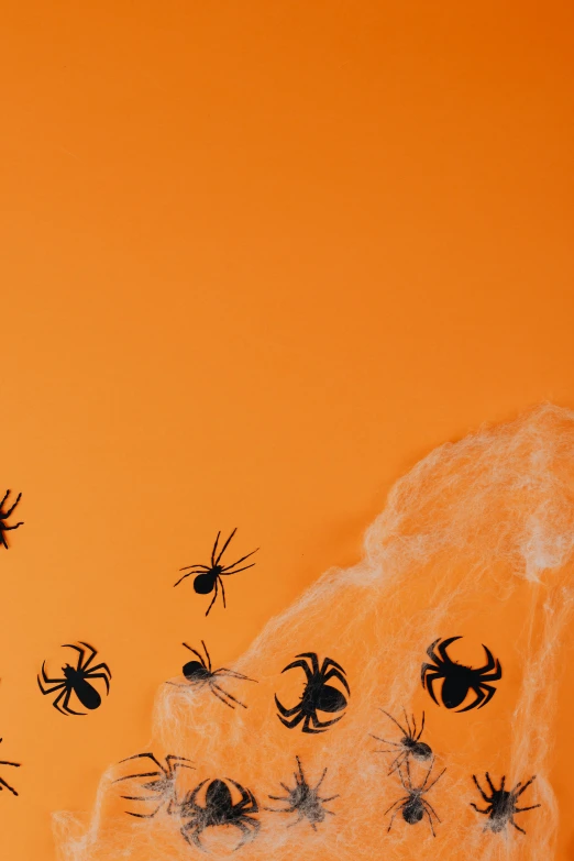 a group of black spiders on an orange background, trending on pexels, conceptual art, chalk, demur, 8l, confetti