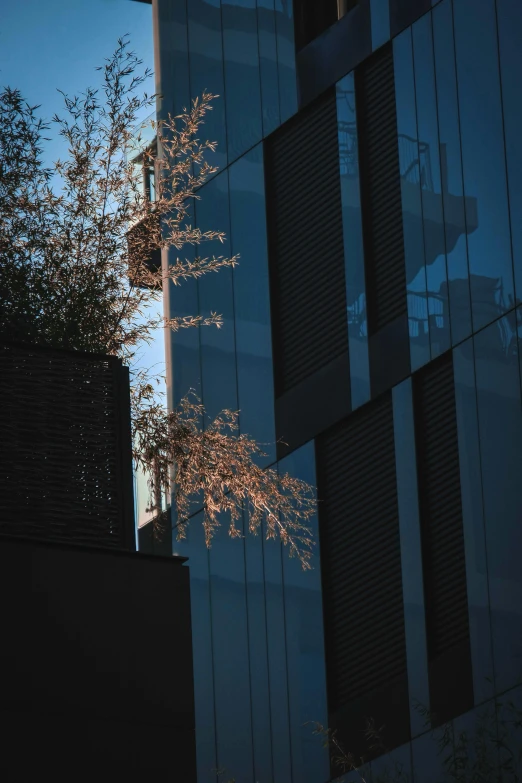 a man flying through the air while riding a skateboard, a picture, inspired by Elsa Bleda, unsplash contest winner, light and space, sakura trees, transparent building, reflections in copper, portrait of tall