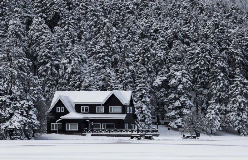 a black and white photo of a house in the snow, pexels contest winner, 🌲🌌, lake house, designed for cozy aesthetics!, monochrome color