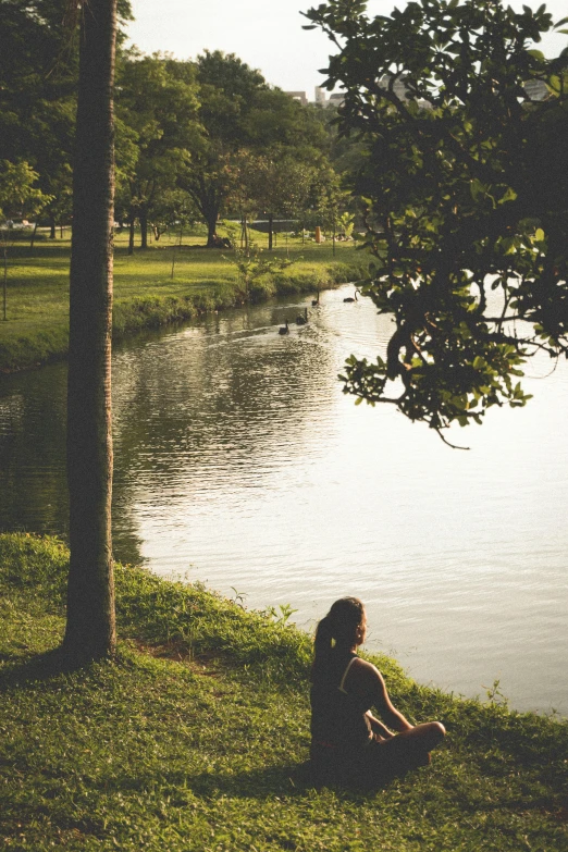 a person sitting next to a body of water, a picture, at the park, afternoon time, from afar, parks