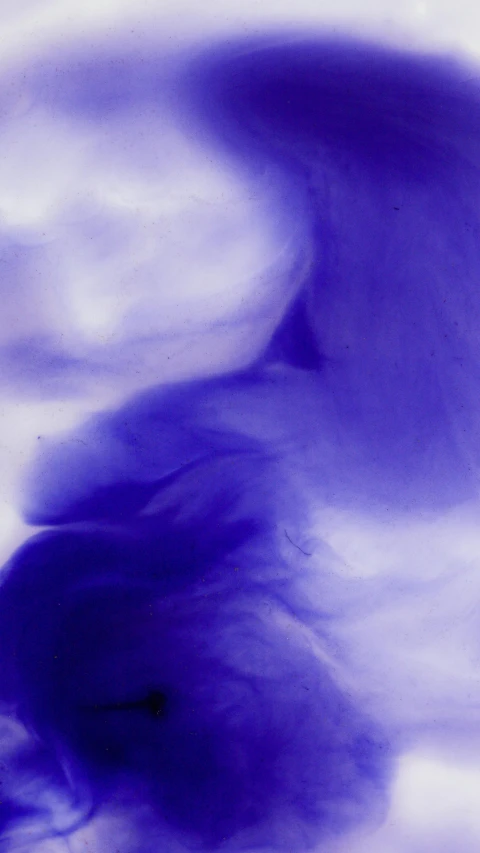 a blurry image of a bird flying in the sky, an album cover, inspired by Yves Klein, lyrical abstraction, purple smoke, detail, james nares, ( ( abstract ) )