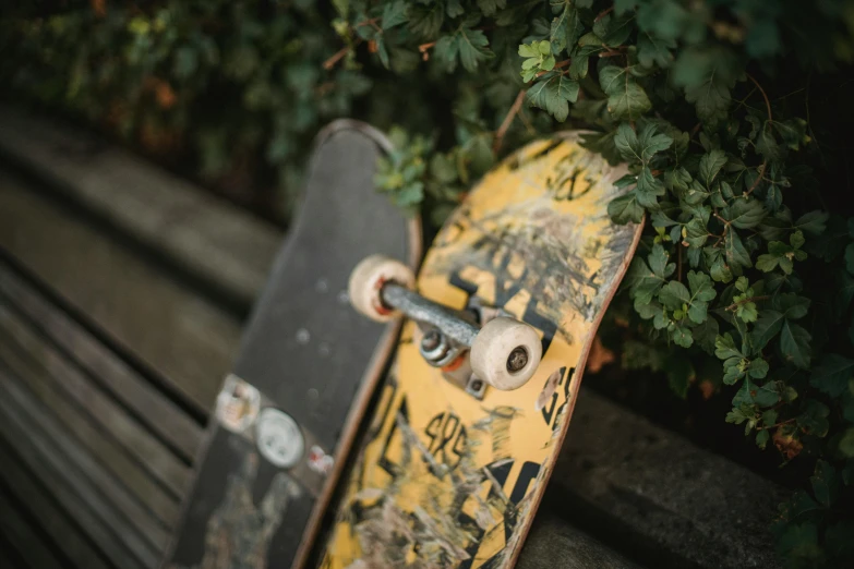 a skateboard sitting on top of a wooden bench, a picture, by Emma Andijewska, black and yellow scheme, 90s photo, high quality product image”, on a tree