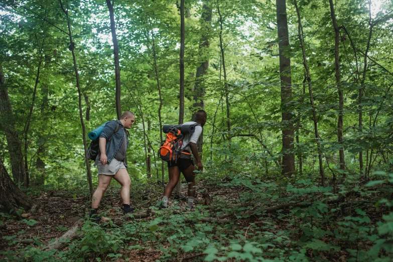 a couple of people that are walking in the woods, a photo, avatar image, adventuring gear, stacked image