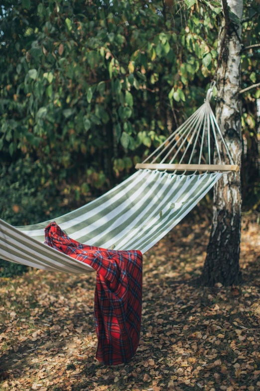 a hammock hanging from a tree in the woods, stripes, retro colour, assam tea garden setting, exterior shot