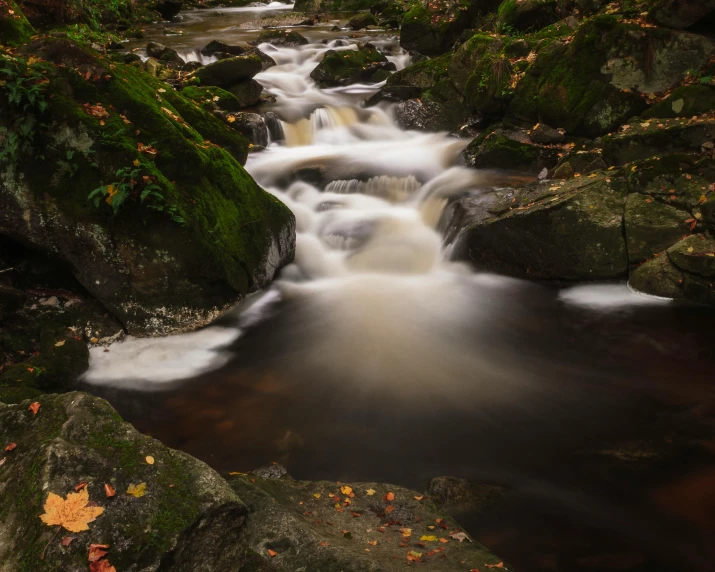 a stream running through a lush green forest, by Daniel Lieske, pexels contest winner, autumnal, wet rocks, thumbnail, white water