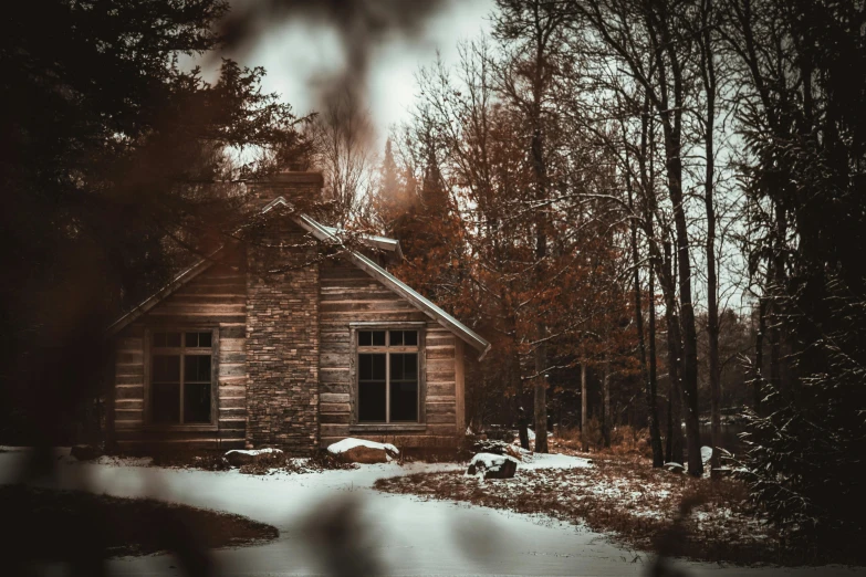 a cabin in the woods with snow on the ground, pexels contest winner, romanticism, spooky mansion, background image, brown, vintage photo