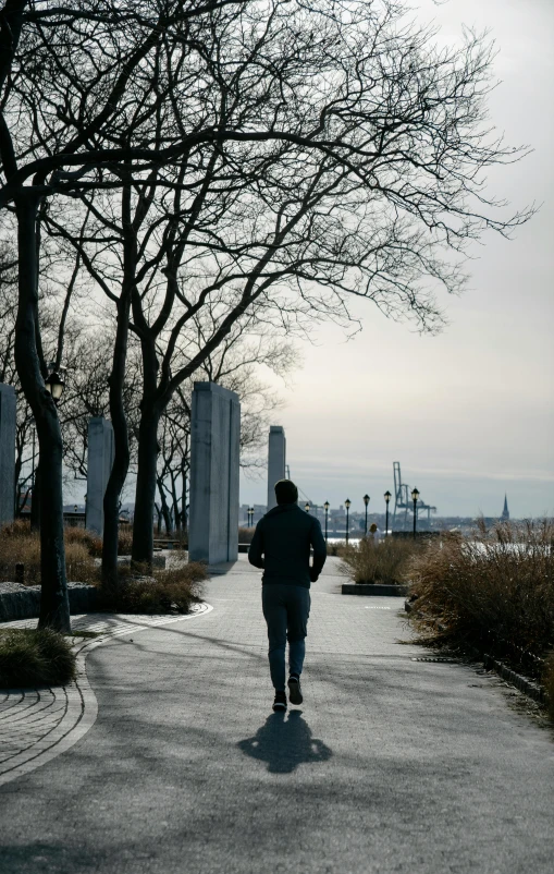 a person riding a skateboard down a street, unsplash, visual art, on liberty island, walking at the garden, winter setting, running sequence