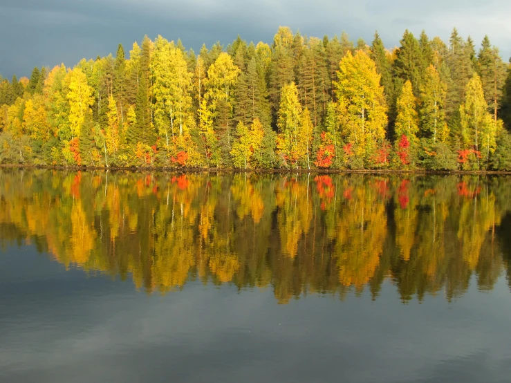 a large body of water surrounded by trees, a picture, by Eero Järnefelt, pexels contest winner, hurufiyya, yellows and reddish black, thumbnail, mirroring, group of seven