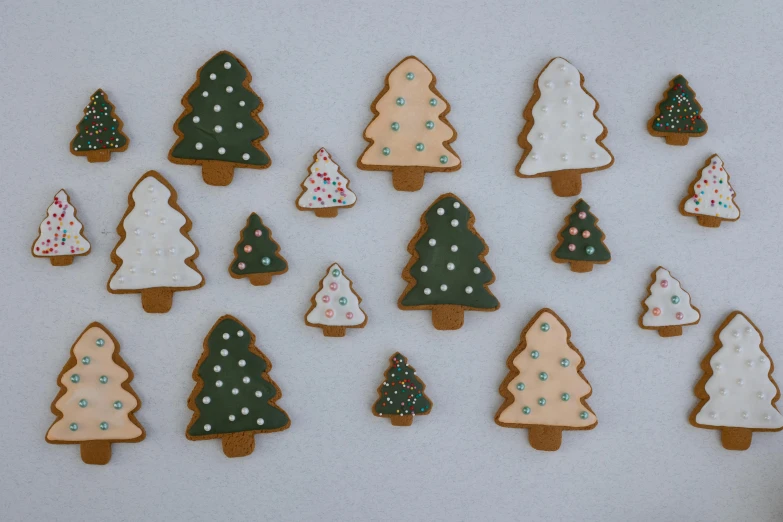 a number of decorated christmas trees on a white surface, inspired by Ernest William Christmas, pexels, cookies, full front view, taken from the high street, forest green