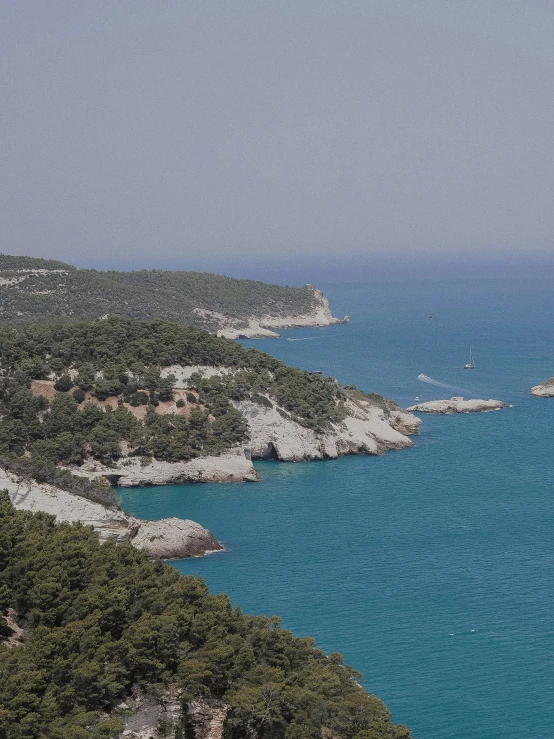 a large body of water surrounded by trees, by Alexis Grimou, unsplash, les nabis, overlooking the ocean, athene, slide show, wide film still