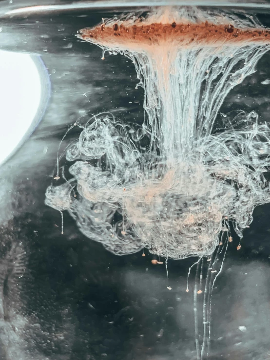 a close up of a vase with water coming out of it, inspired by Otto Piene, trending on unsplash, process art, hair made of shimmering ghosts, grey matter and neurons, boiling imagination in a bowl, photographed from the back