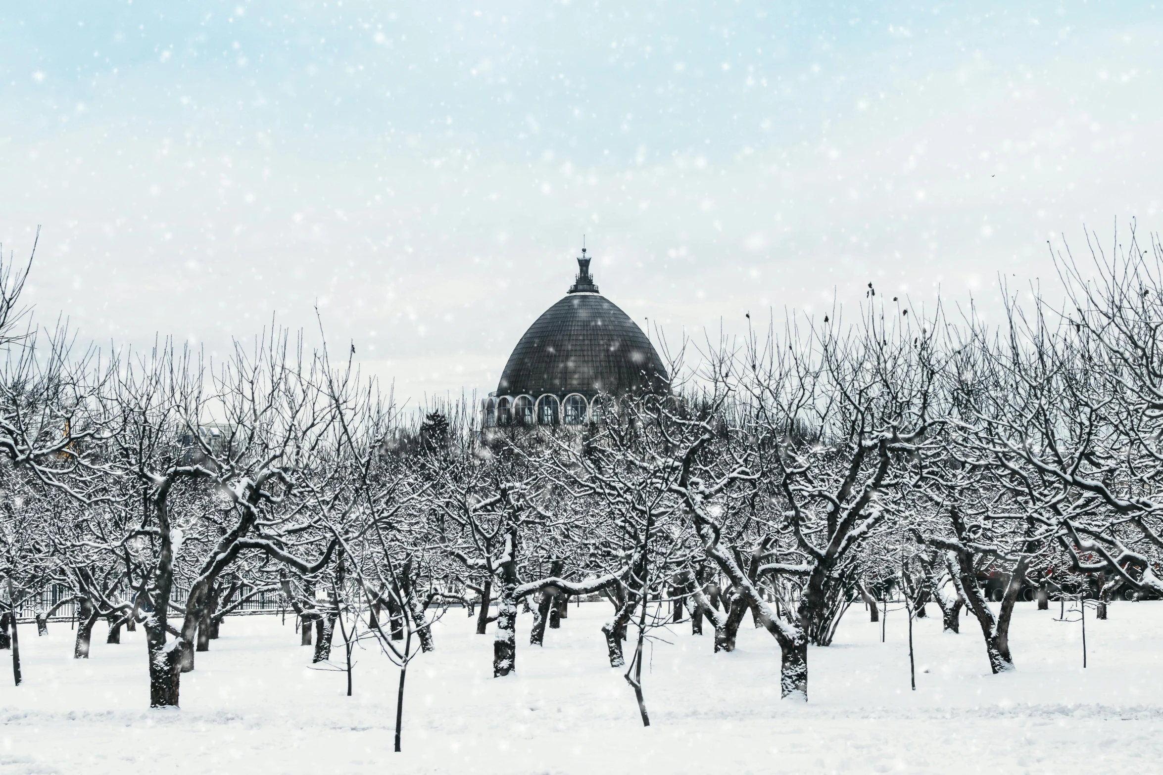 a snow covered field with trees and a building in the background, unsplash contest winner, baroque, with fruit trees, background image, dome, alexandre bourlet