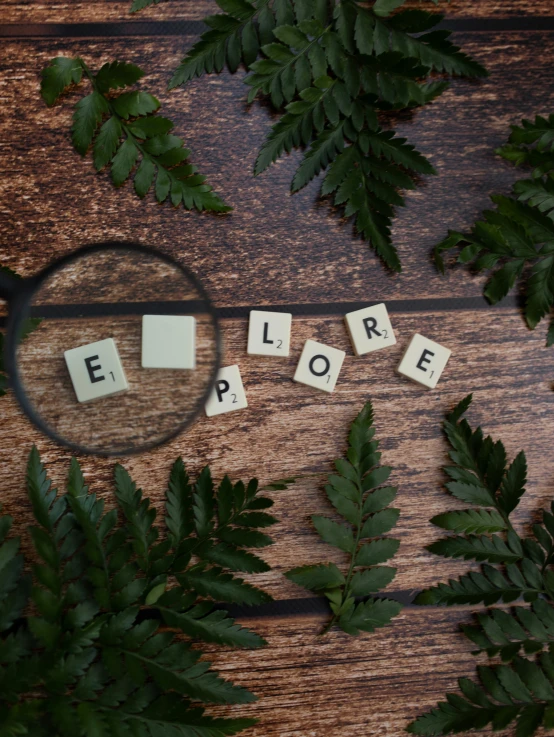 the word explore spelled with scrabbles on a wooden surface, by Edward Clark, pexels contest winner, ecological art, fern, square rimmed glasses, explorers, playful composition