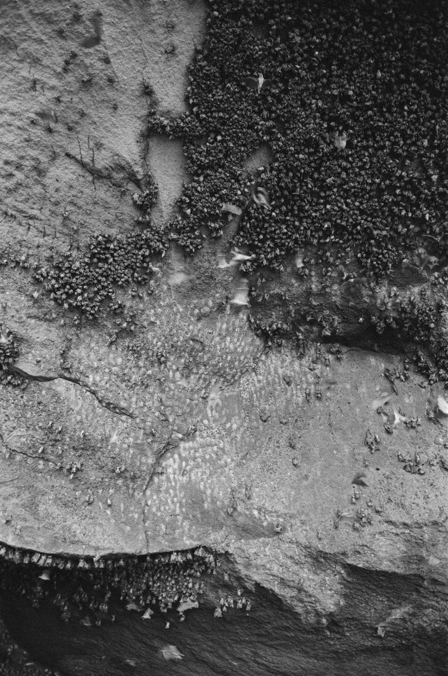 a man riding a surfboard on top of a wave, a microscopic photo, inspired by Attila Meszlenyi, reddit, gelatin silver process, aerial view of an ancient land, ( ( abstract ) ), troops searching the area