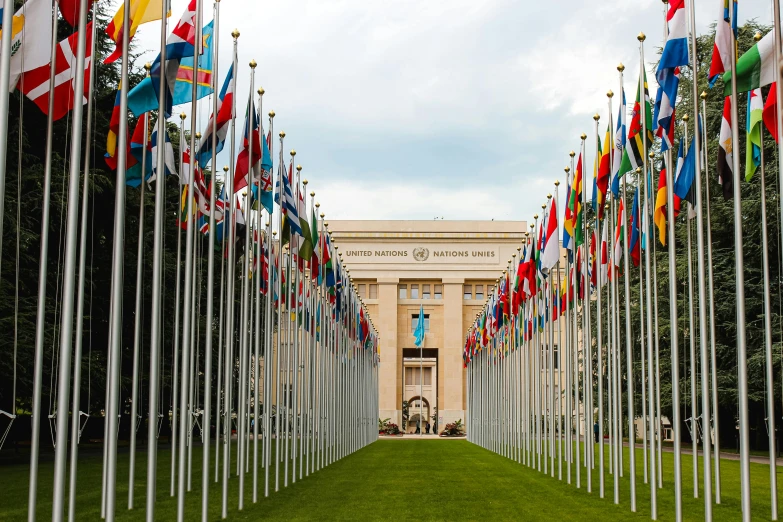 a row of flags in front of a building, unsplash, unilalianism, united nations, colonnade, 256x256, “wide shot