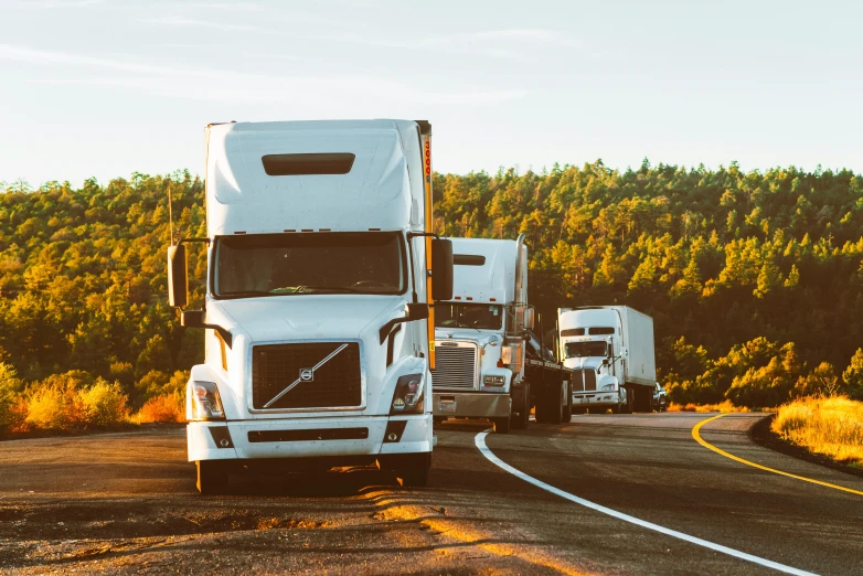 a number of trucks on a road with trees in the background, a portrait, by Everett Warner, pexels contest winner, renaissance, white, profile pic, panoramic shot, cardboard