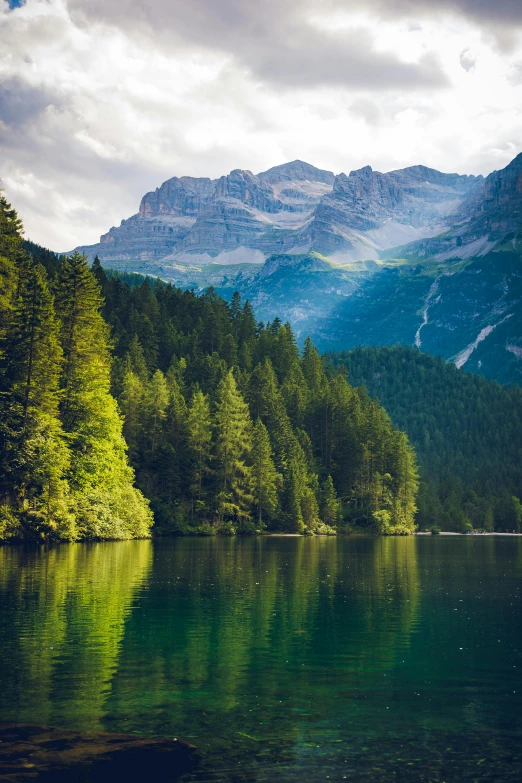 a body of water surrounded by trees and mountains, dolomites, lush evergreen forest, fishing, beautifully lit